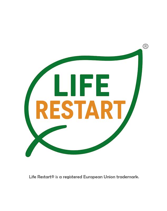 Life Restart - Network
