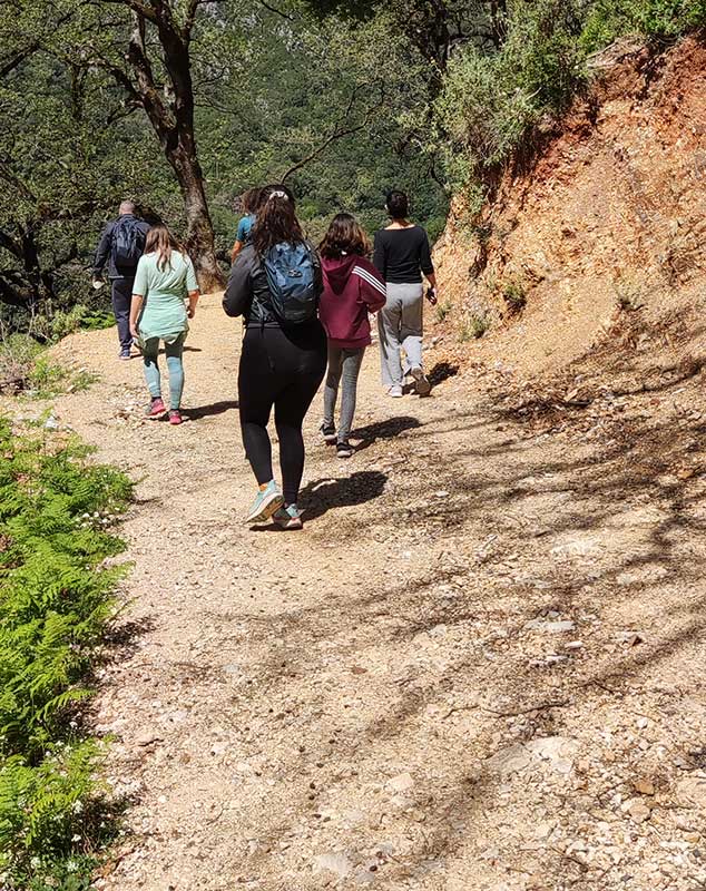 What Life Restart Is