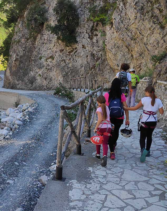 Life Restart - Join the Network