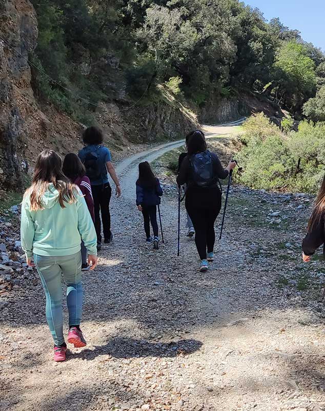 Life Restart - Academic Network