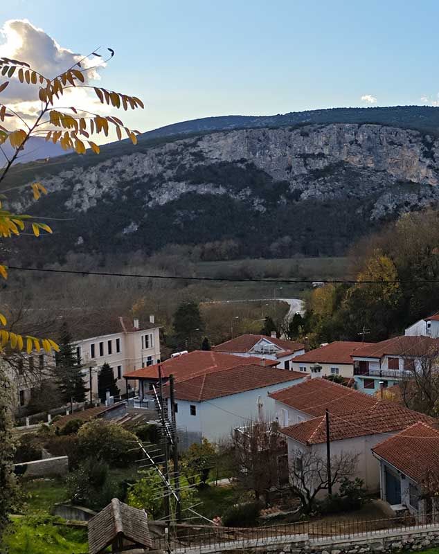 Life Restart - Regional Partnerships